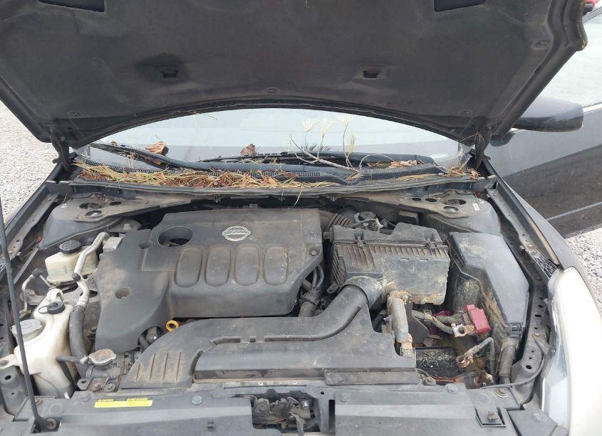 Photo 10 of 2009 Nissan Altima 2.5 S (VIN 1N4AL21E39N513556)