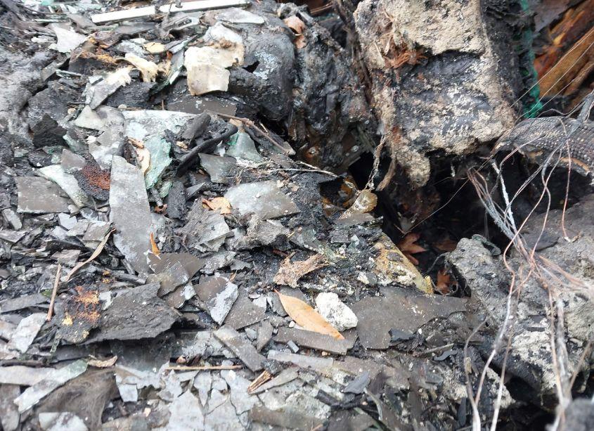 Photo 11 of 2010 Nissan Altima 2.5 S (VIN 1N4AL2AP4AN555126)