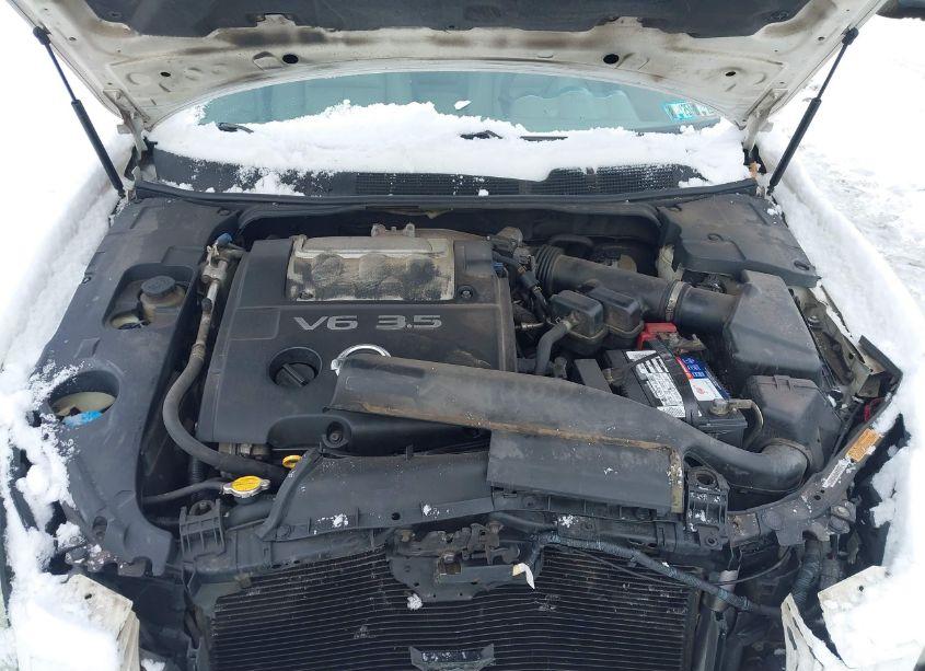 Photo 10 of 2004 Nissan Maxima 3.5 SE (VIN 1N4BA41E04C855380)