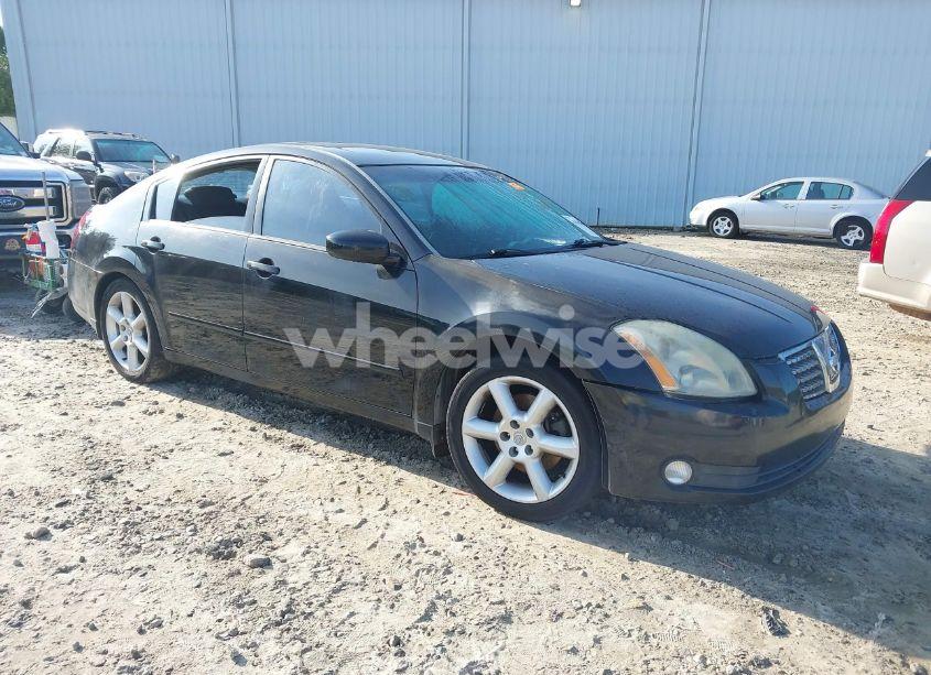 2005 Nissan Maxima 3.5 SE (VIN 1N4BA41E05C822459) main photo