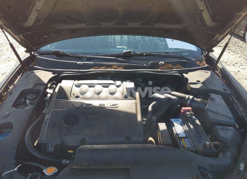 Photo 10 of 2005 Nissan Maxima 3.5 SE (VIN 1N4BA41E05C822459)