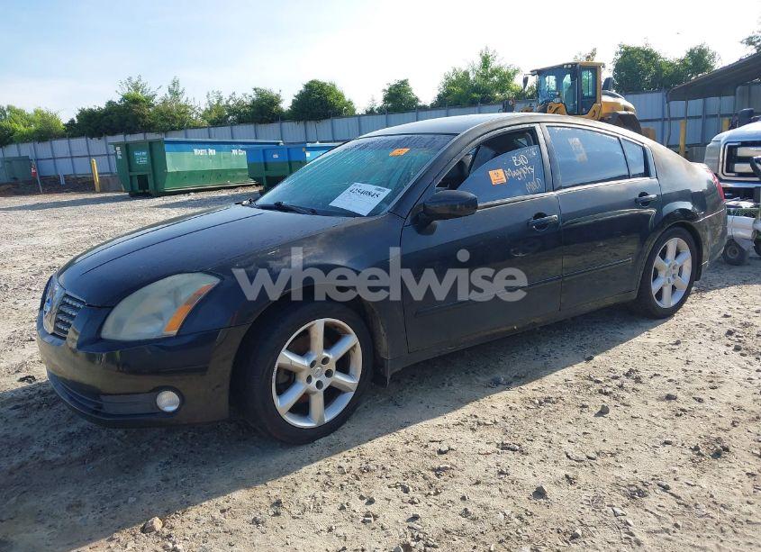 Photo 2 of 2005 Nissan Maxima 3.5 SE (VIN 1N4BA41E05C822459)