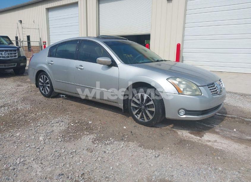 2005 Nissan Maxima 3.5 SE (VIN 1N4BA41E05C835308) main photo