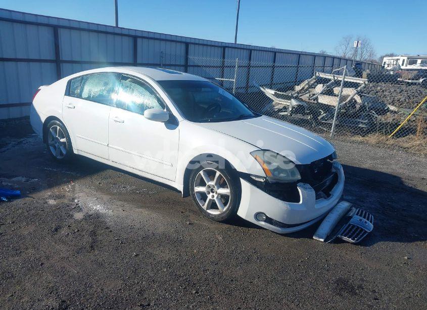 2006 Nissan Maxima 3.5 SE (VIN 1N4BA41E06C807638) main photo