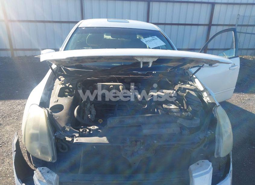 Photo 10 of 2006 Nissan Maxima 3.5 SE (VIN 1N4BA41E06C807638)