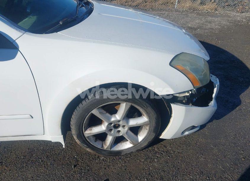 Photo 19 of 2006 Nissan Maxima 3.5 SE (VIN 1N4BA41E06C807638)
