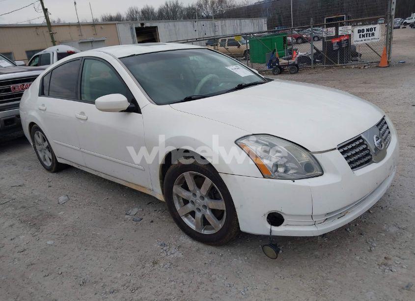 2006 Nissan Maxima 3.5 SL (VIN 1N4BA41E06C831227) main photo