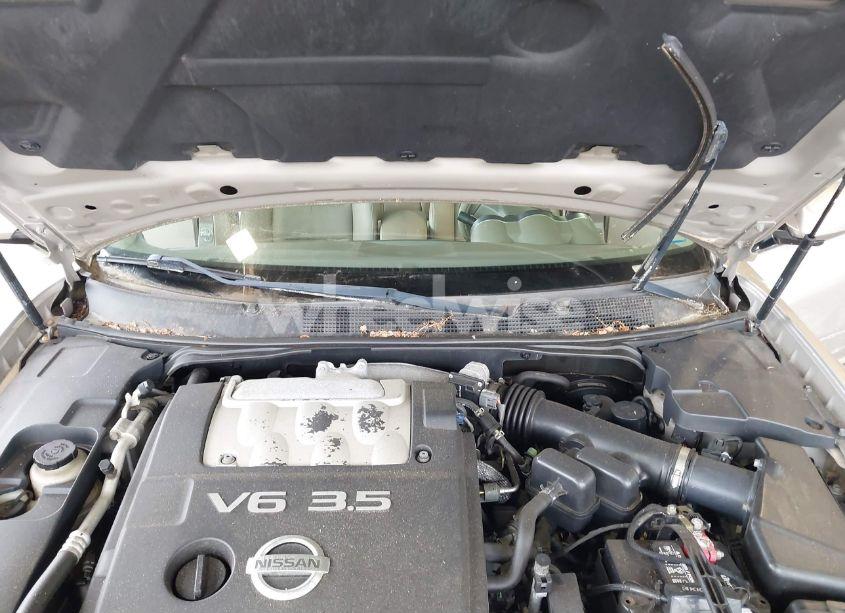 Photo 10 of 2006 Nissan Maxima 3.5 SL (VIN 1N4BA41E06C844298)