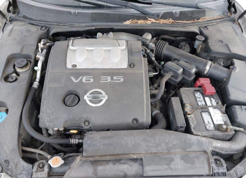 Photo 10 of 2006 Nissan Maxima 3.5 SE (VIN 1N4BA41E06C860291)