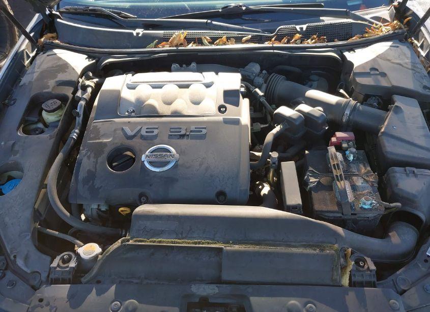 Photo 10 of 2007 Nissan Maxima 3.5 SE (VIN 1N4BA41E07C837417)