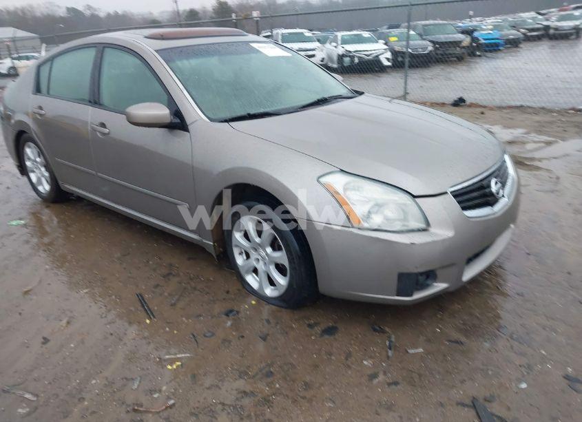 2008 Nissan Maxima 3.5 SL (VIN 1N4BA41E08C816374) main photo