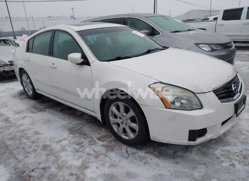 2008 Nissan Maxima 3.5 SL (VIN 1N4BA41E08C817931) main photo