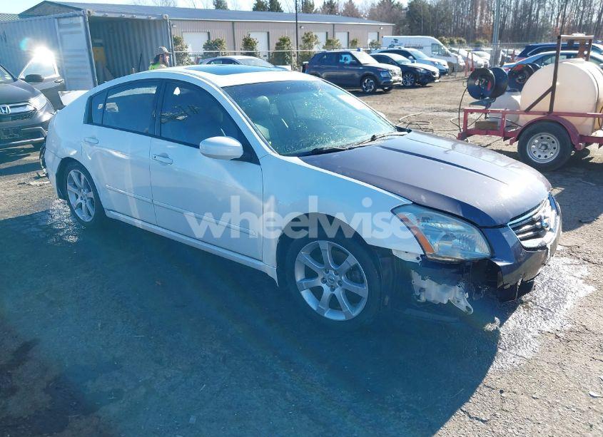2008 Nissan Maxima 3.5 SE (VIN 1N4BA41E08C835135) main photo