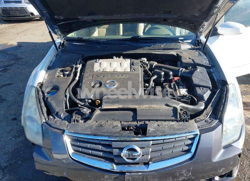 Photo 10 of 2008 Nissan Maxima 3.5 SE (VIN 1N4BA41E08C835135)