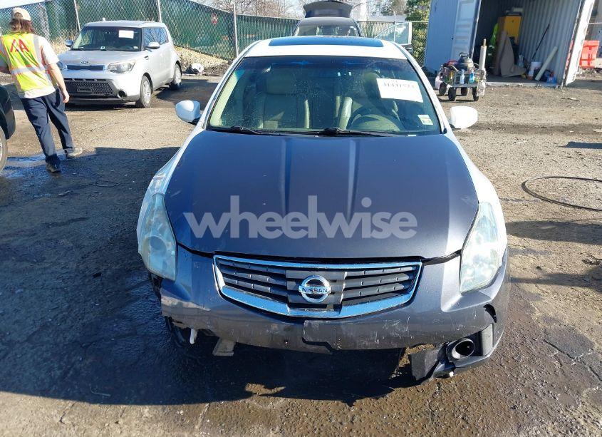 Photo 13 of 2008 Nissan Maxima 3.5 SE (VIN 1N4BA41E08C835135)
