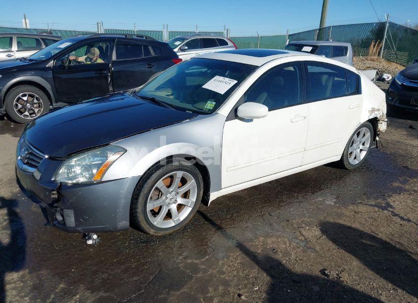 Photo 2 of 2008 Nissan Maxima 3.5 SE (VIN 1N4BA41E08C835135)