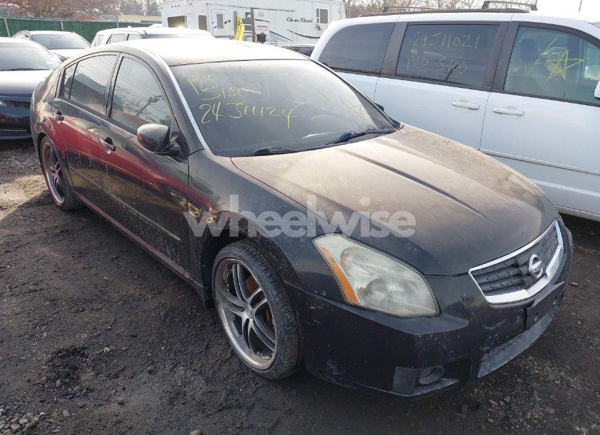 2008 Nissan Maxima 3.5 SE (VIN 1N4BA41E08C836818) main photo