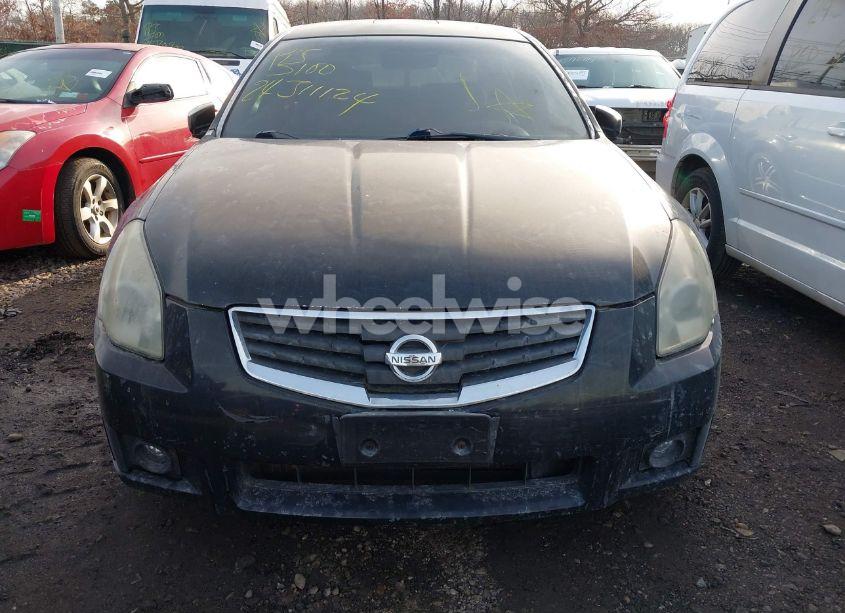 Photo 6 of 2008 Nissan Maxima 3.5 SE (VIN 1N4BA41E08C836818)