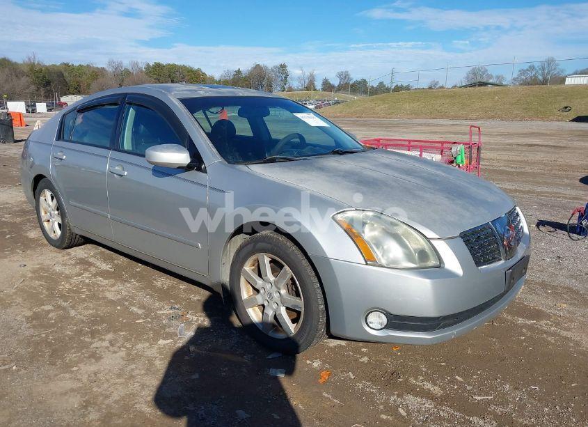 2004 Nissan Maxima 3.5 SL (VIN 1N4BA41E14C903856) main photo