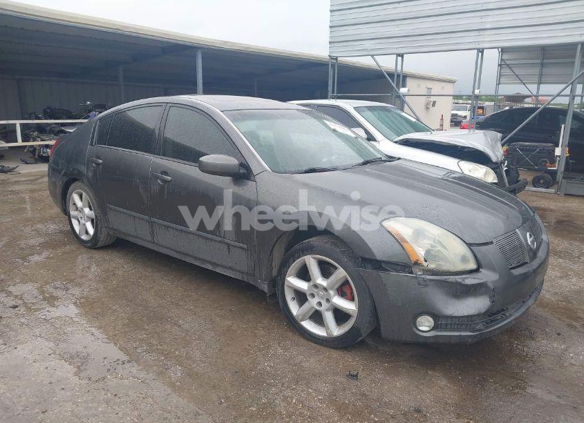 2006 Nissan Maxima 3.5 SE (VIN 1N4BA41E16C817207) main photo