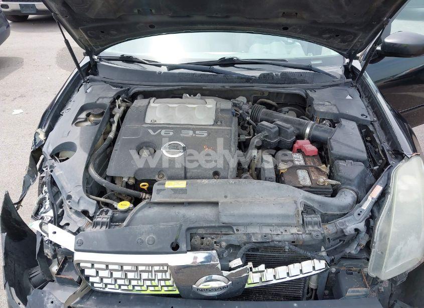 Photo 10 of 2006 Nissan Maxima 3.5 SE (VIN 1N4BA41E16C852572)