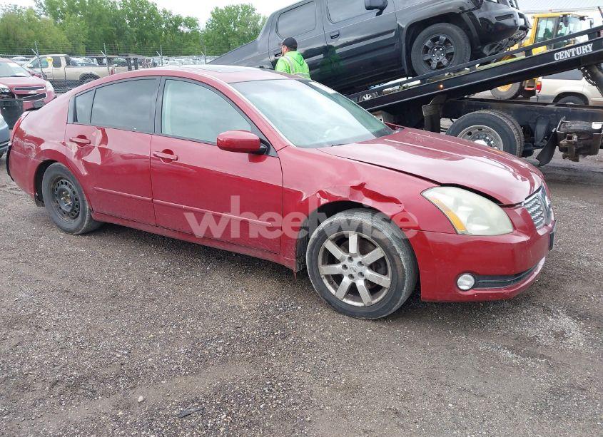 2006 Nissan Maxima 3.5 SL (VIN 1N4BA41E16C853785) main photo