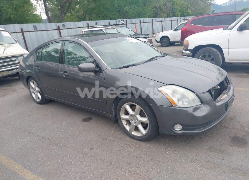 2005 Nissan Maxima 3.5 SE (VIN 1N4BA41E25C830336) main photo