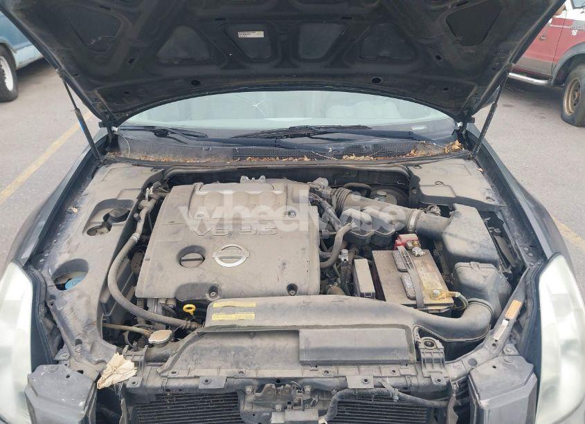 Photo 10 of 2005 Nissan Maxima 3.5 SE (VIN 1N4BA41E25C830336)
