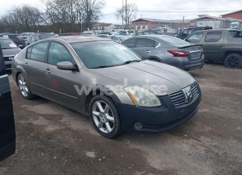 2005 Nissan Maxima 3.5 SE (VIN 1N4BA41E25C832166) main photo