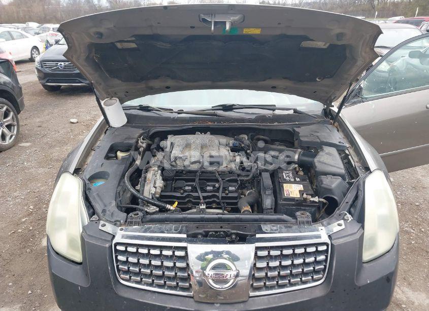 Photo 10 of 2005 Nissan Maxima 3.5 SE (VIN 1N4BA41E25C832166)