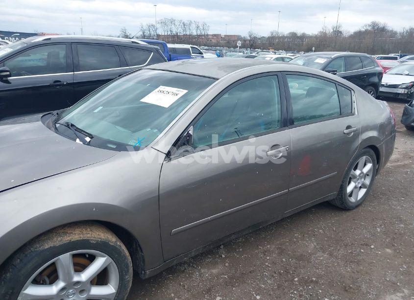 Photo 12 of 2005 Nissan Maxima 3.5 SE (VIN 1N4BA41E25C832166)