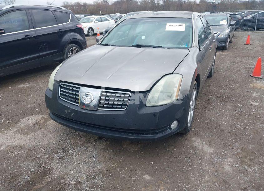 Photo 6 of 2005 Nissan Maxima 3.5 SE (VIN 1N4BA41E25C832166)