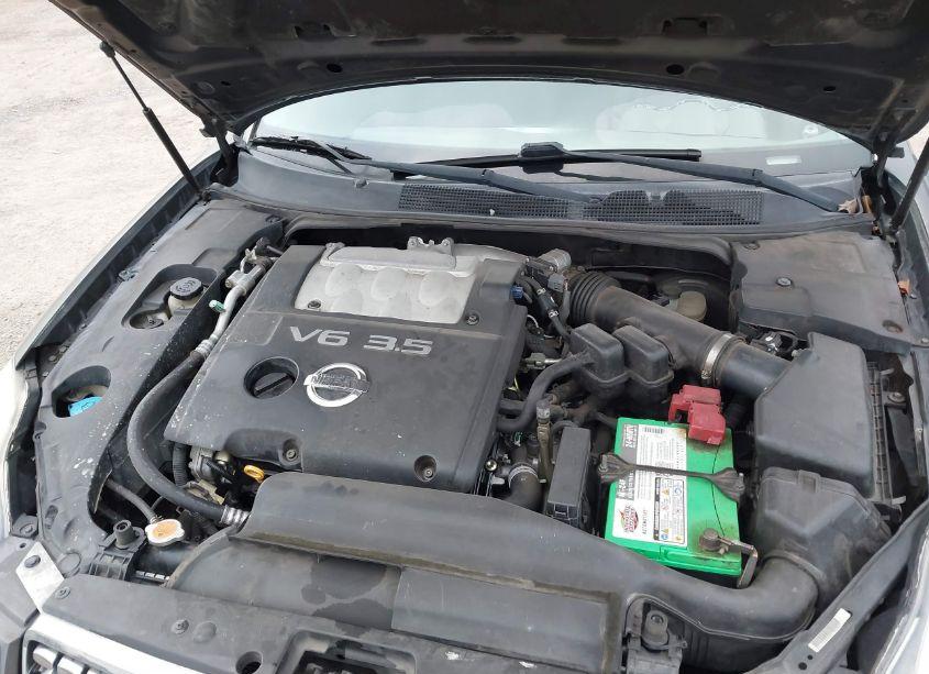 Photo 6 of 2005 Nissan Maxima 3.5 SE (VIN 1N4BA41E25C863725)