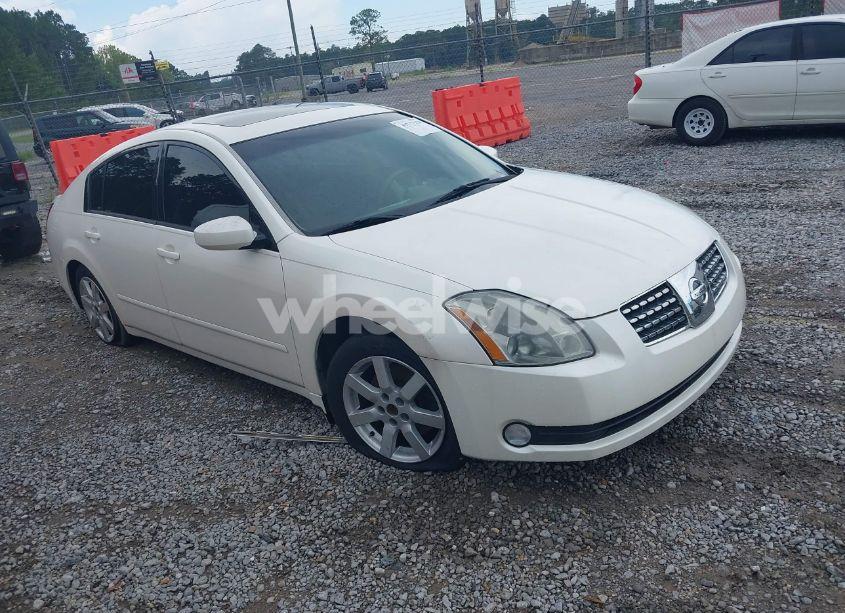 2005 Nissan Maxima 3.5 SL (VIN 1N4BA41E25C869153) main photo