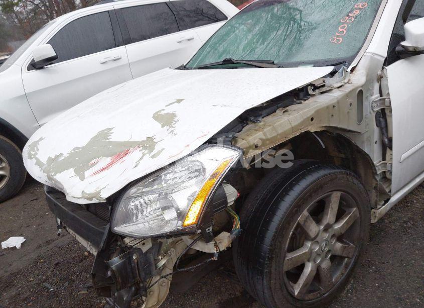 Photo 6 of 2007 Nissan Maxima 3.5 SL (VIN 1N4BA41E27C800868)