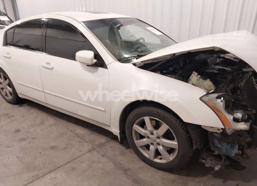 2004 Nissan Maxima 3.5 SL (VIN 1N4BA41E34C819781) main photo