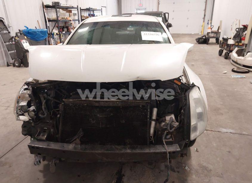 Photo 13 of 2004 Nissan Maxima 3.5 SL (VIN 1N4BA41E34C819781)