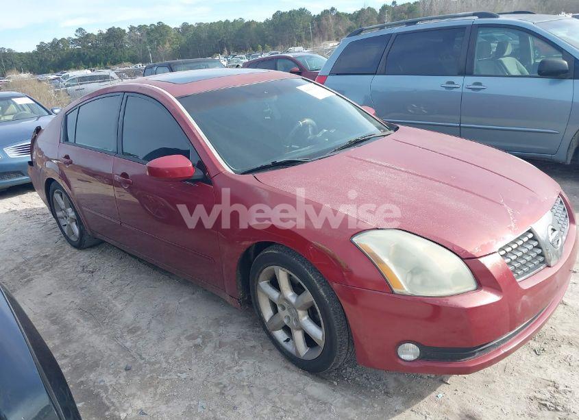 2004 Nissan Maxima 3.5 SE (VIN 1N4BA41E34C862498) main photo
