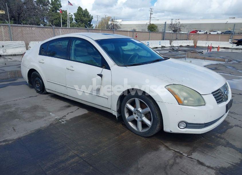 2004 Nissan Maxima 3.5 SE (VIN 1N4BA41E34C889149) main photo