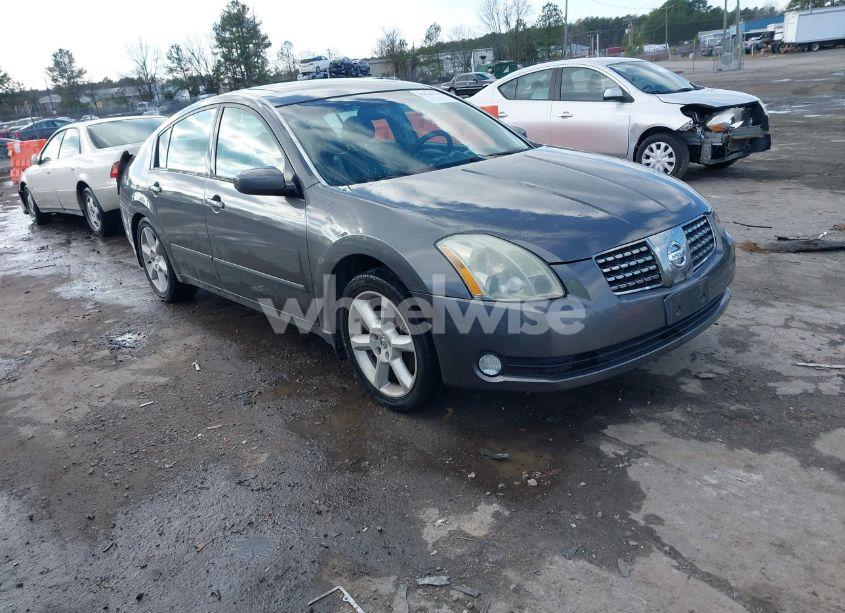 2005 Nissan Maxima 3.5 SE (VIN 1N4BA41E35C844097) main photo