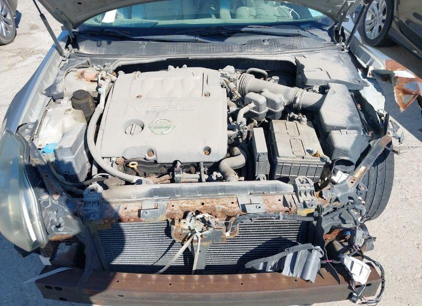 Photo 10 of 2006 Nissan Maxima 3.5 SE (VIN 1N4BA41E36C845784)