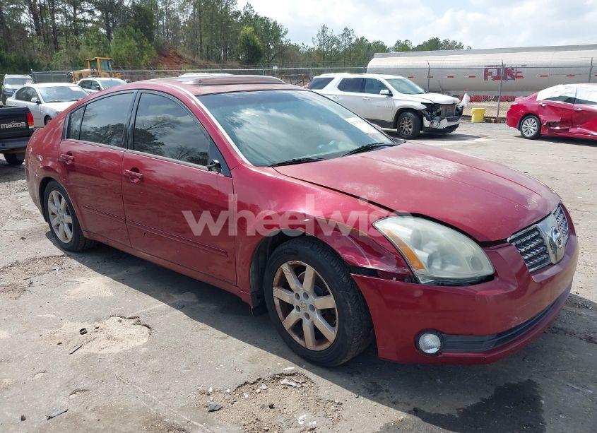 2006 Nissan Maxima 3.5 SL (VIN 1N4BA41E36C855960) main photo