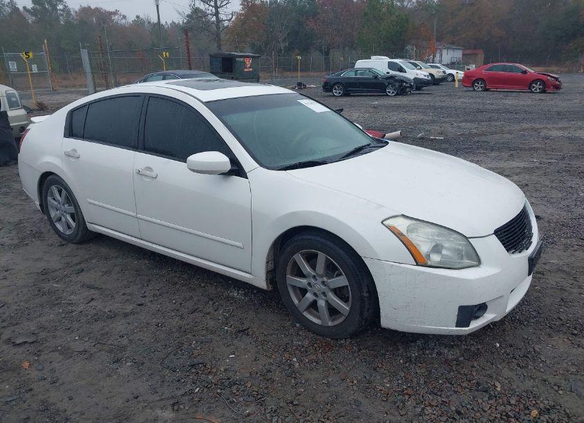 2007 Nissan Maxima 3.5 SE (VIN 1N4BA41E37C821583) main photo