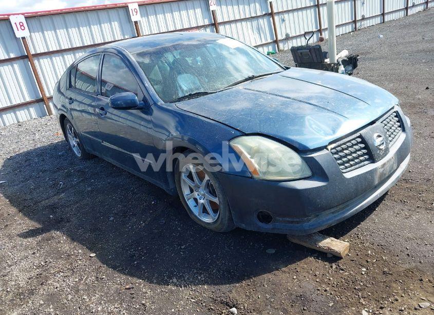 2004 Nissan Maxima 3.5 SE (VIN 1N4BA41E44C847427) main photo