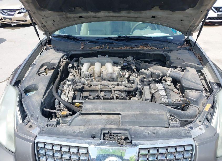 Photo 10 of 2004 Nissan Maxima 3.5 SL (VIN 1N4BA41E44C921302)