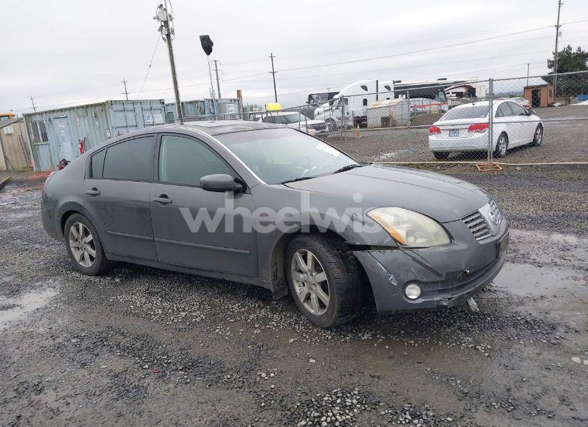 2005 Nissan Maxima 3.5 SL (VIN 1N4BA41E45C823792) main photo