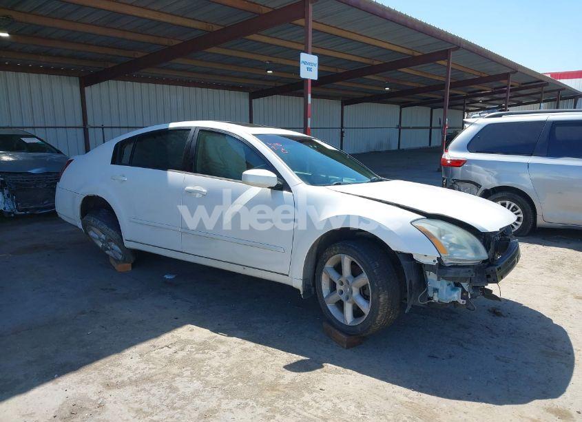 2005 Nissan Maxima 3.5 SE (VIN 1N4BA41E45C827695) main photo