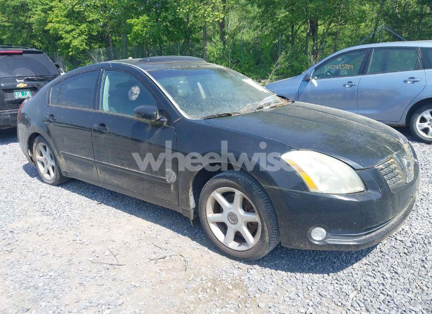 2005 Nissan Maxima SE/SL (VIN 1N4BA41E45C831648) main photo