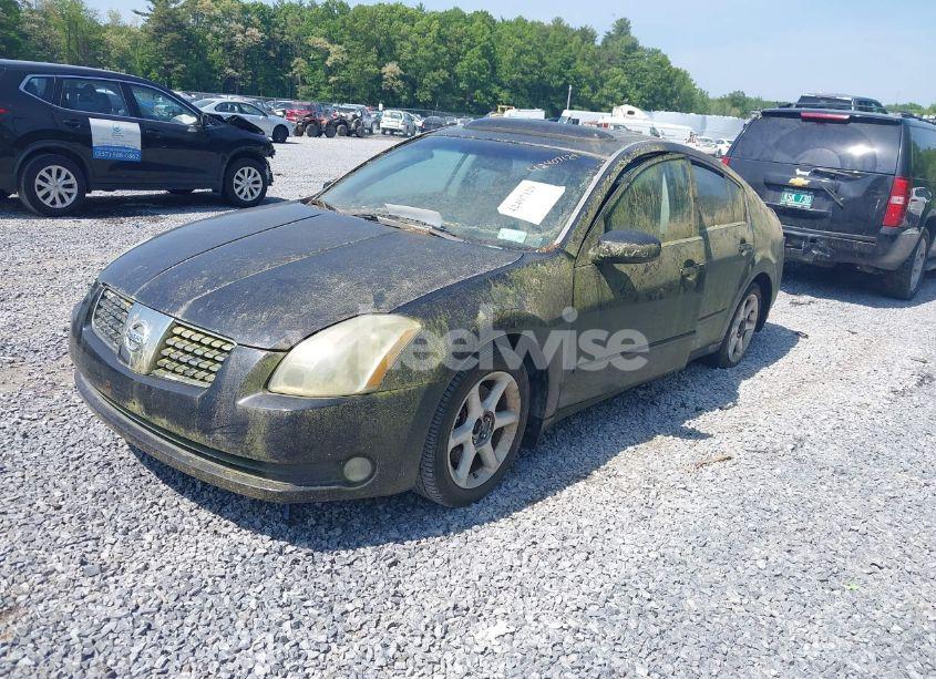 Photo 2 of 2005 Nissan Maxima SE/SL (VIN 1N4BA41E45C831648)