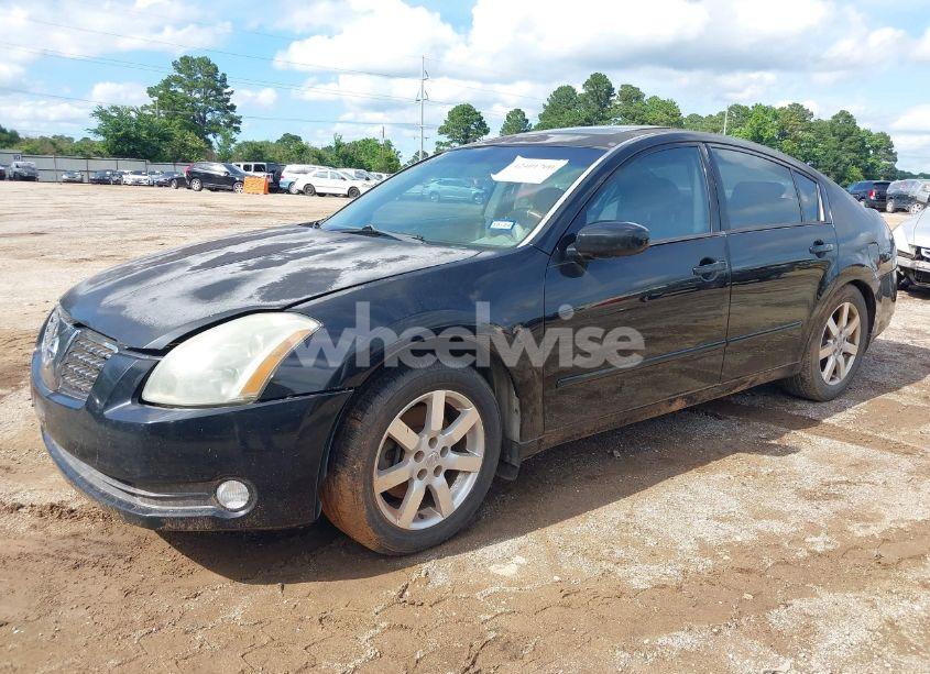 Photo 2 of 2006 Nissan Maxima 3.5 SL (VIN 1N4BA41E46C819887)
